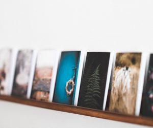 Photo Canvas print