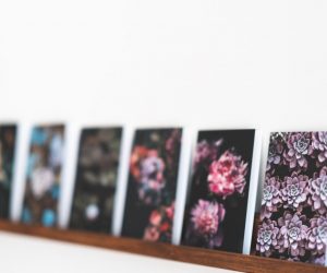 Photo Canvas print