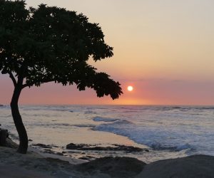 Photo Tropical sunset